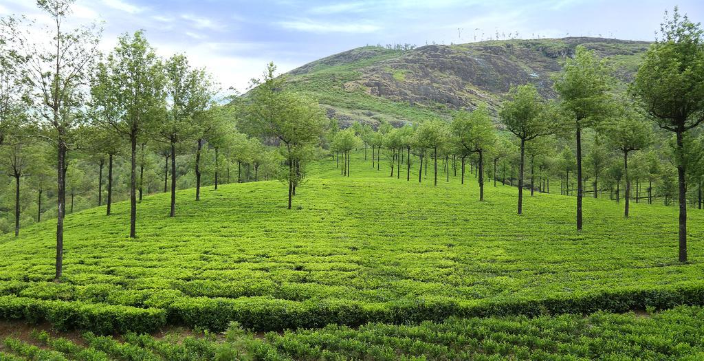 Elysium Garden Hotel Munnar Exterior photo