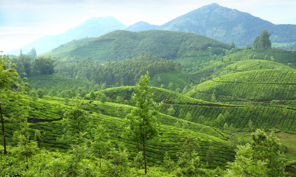 Elysium Garden Hotel Munnar Exterior photo