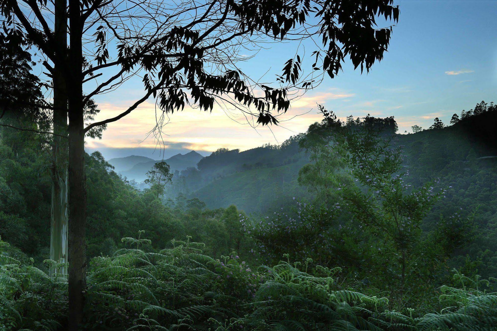 Elysium Garden Hotel Munnar Exterior photo